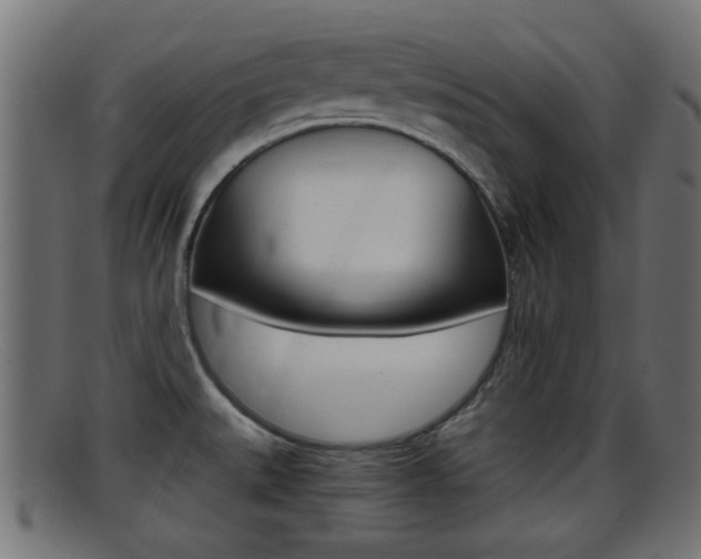 X0000095691527200801081028