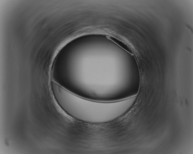 X0000095691528200801081028