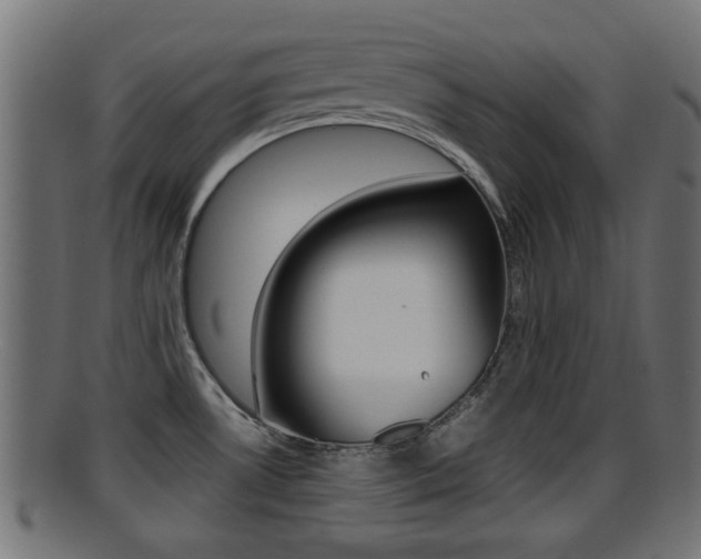 X0000095691530200801081028