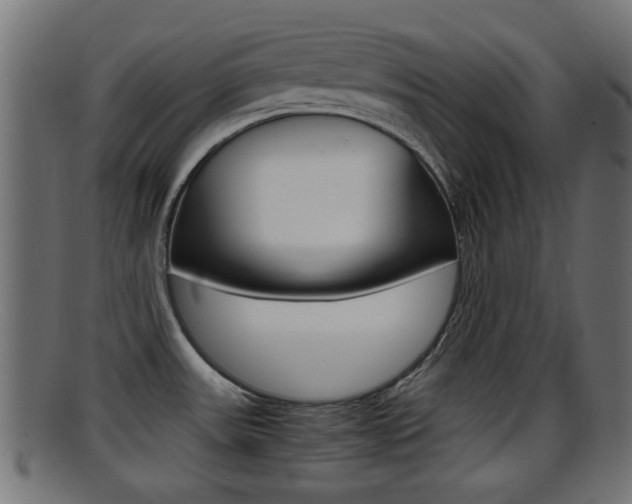 X0000095691531200801081028