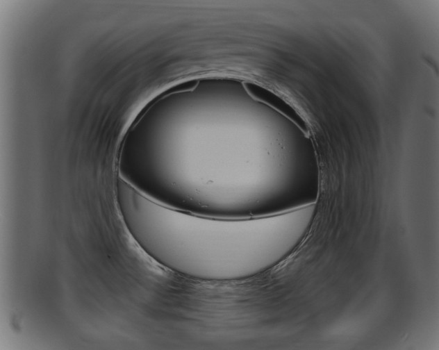 X0000095691532200801081028
