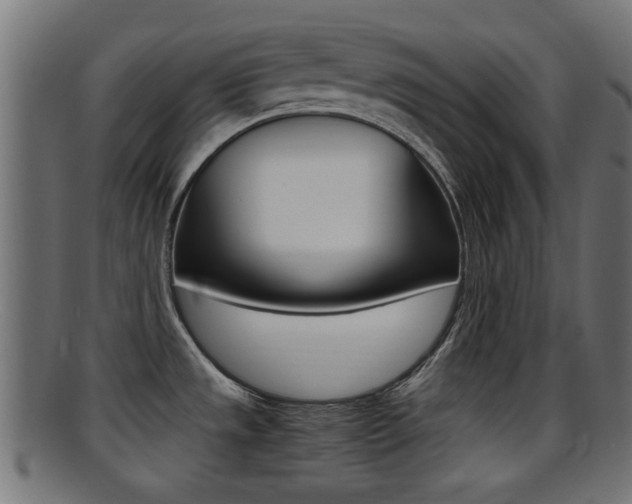 X0000095691533200801081028