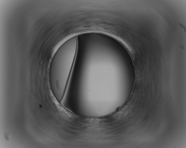 X0000095691534200801081028