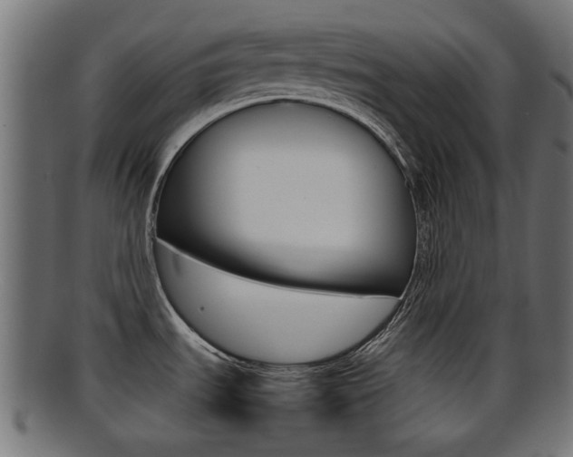 X0000095691535200801081028