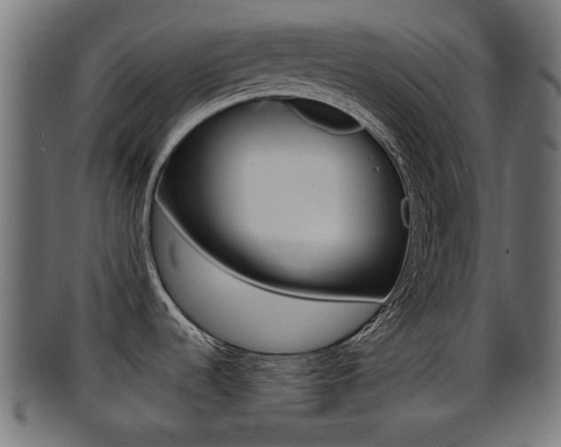 X0000095691536200801081028