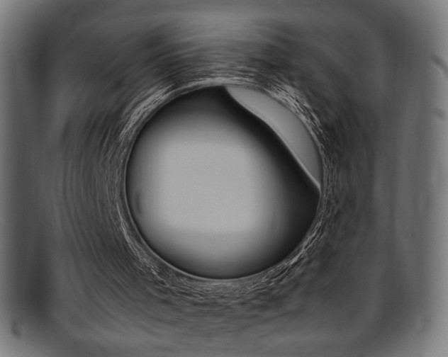 X0000095690001200801081258
