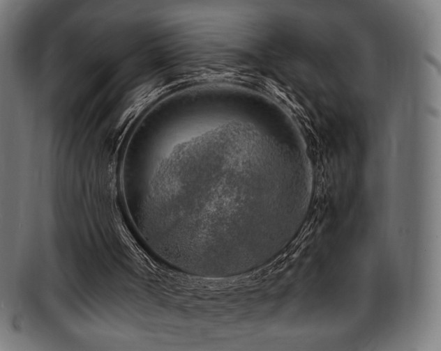 X0000095690002200801081258