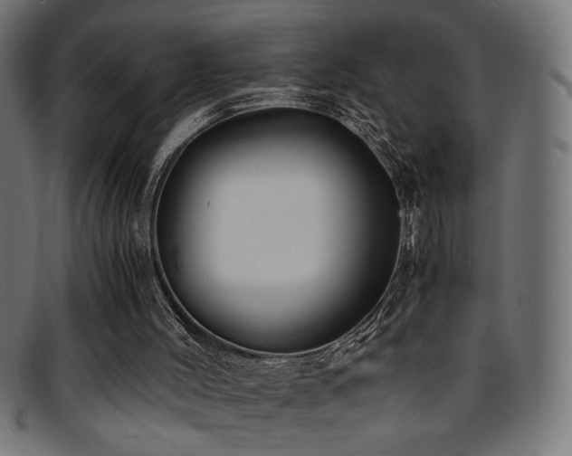 X0000095690004200801081258