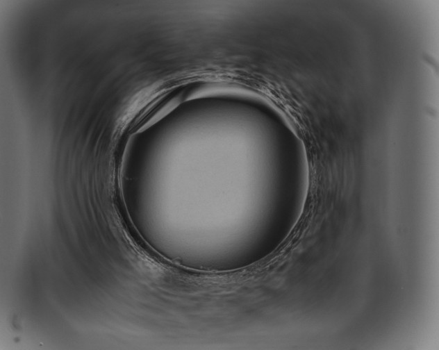 X0000095690005200801081258