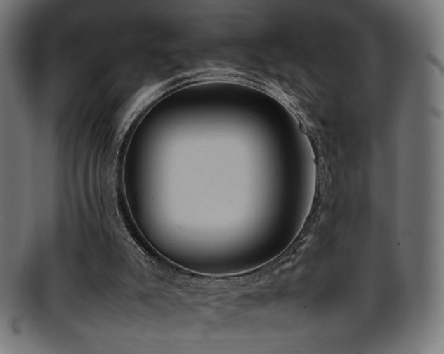 X0000095690007200801081258