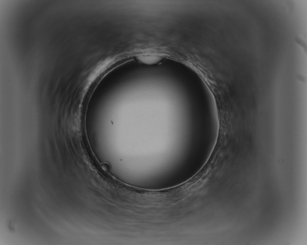X0000095690008200801081258