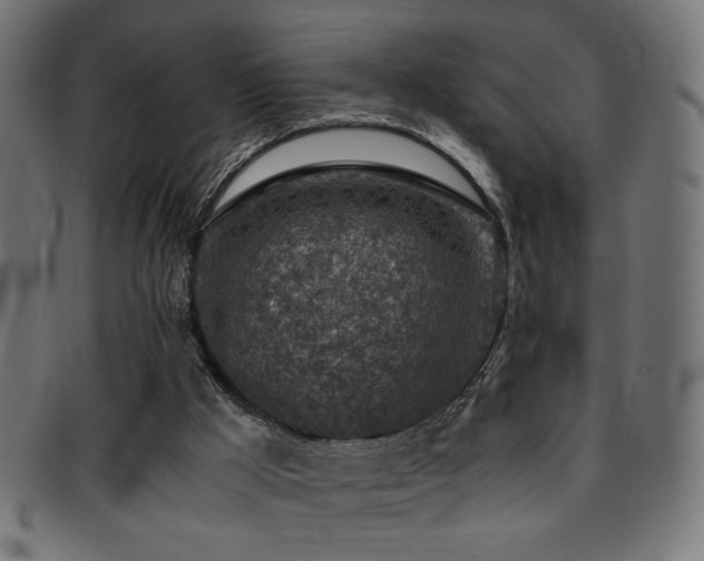 X0000095690009200801081258