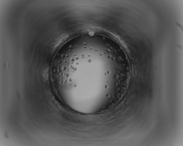 X0000095690010200801081258