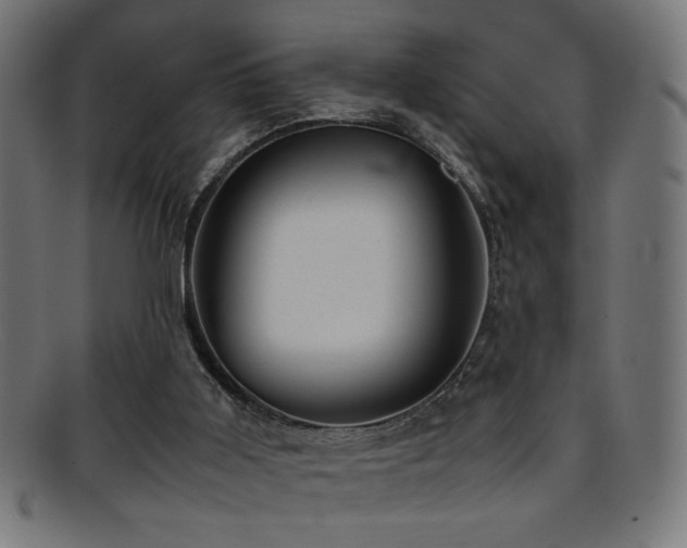 X0000095690011200801081258