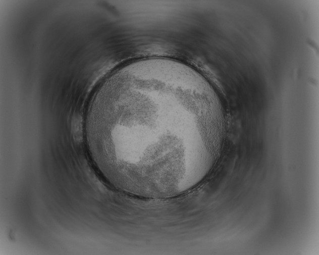 X0000095690012200801081258