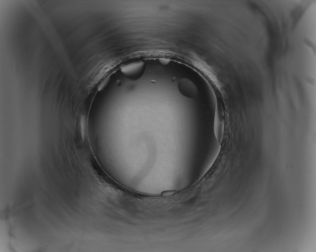 X0000095690013200801081258