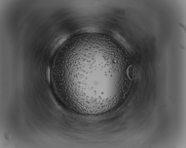 X0000095690014200801081258
