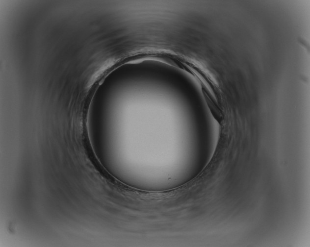 X0000095690015200801081258