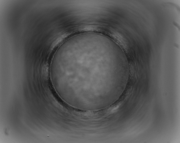 X0000095690016200801081258