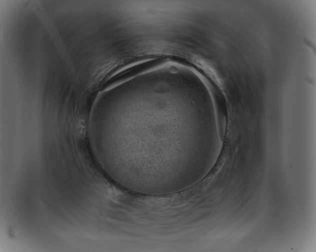 X0000095690017200801081258