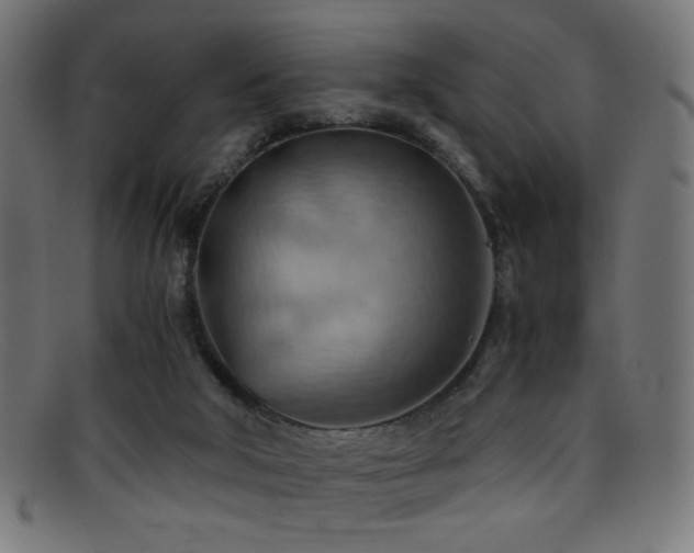 X0000095690018200801081258