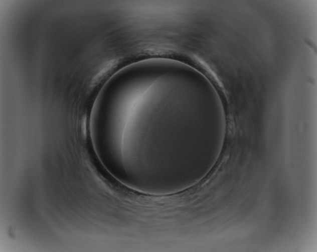 X0000095690019200801081258