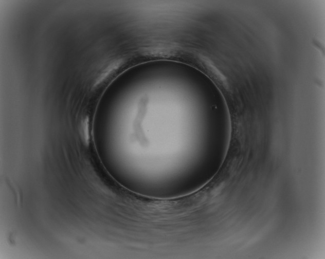 X0000095690020200801081258