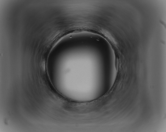 X0000095690021200801081258