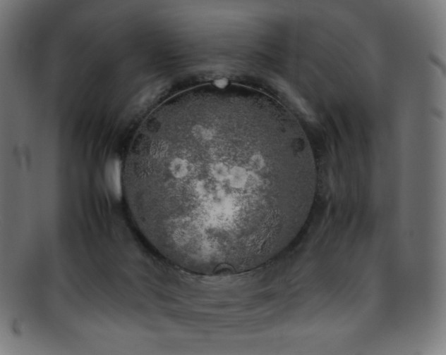 X0000095690022200801081258