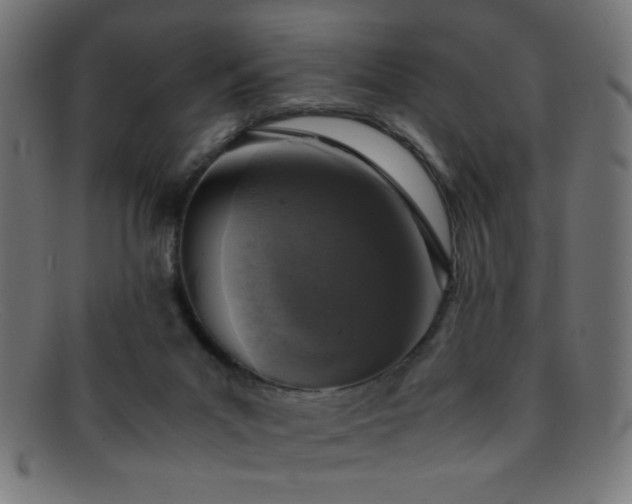 X0000095690023200801081258