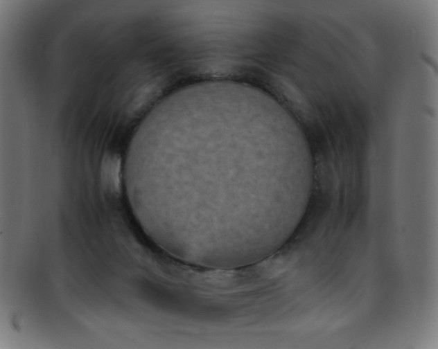 X0000095690024200801081258