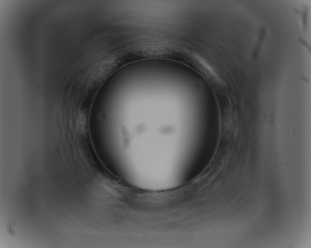 X0000095690025200801081258