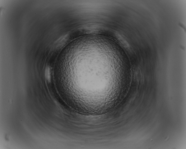 X0000095690026200801081258
