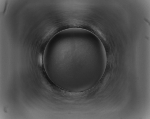X0000095690027200801081258