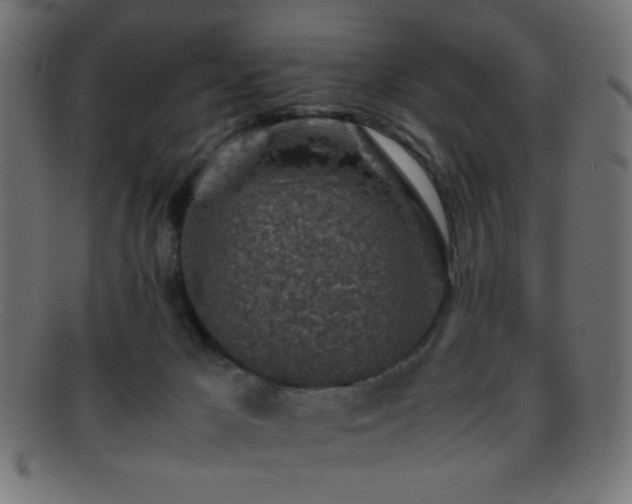 X0000095690029200801081258
