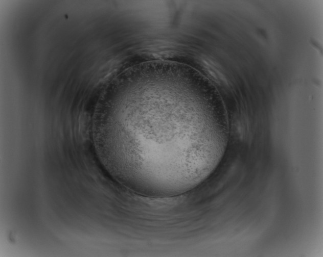 X0000095690030200801081258
