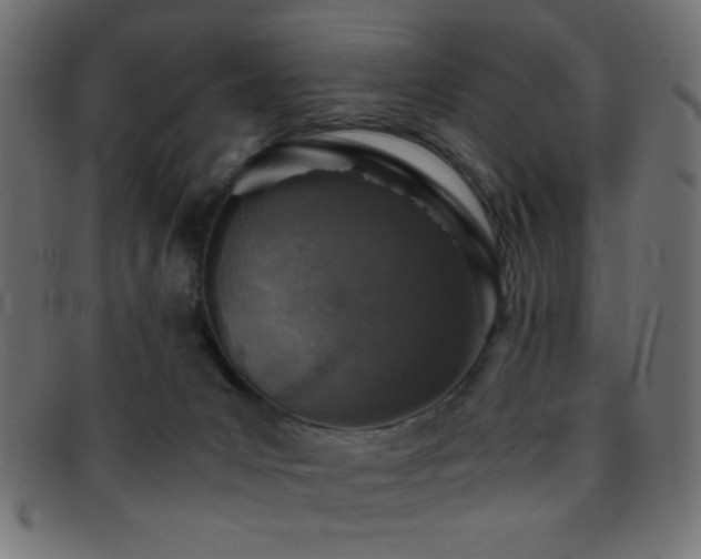 X0000095690031200801081258