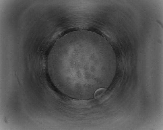 X0000095690032200801081258