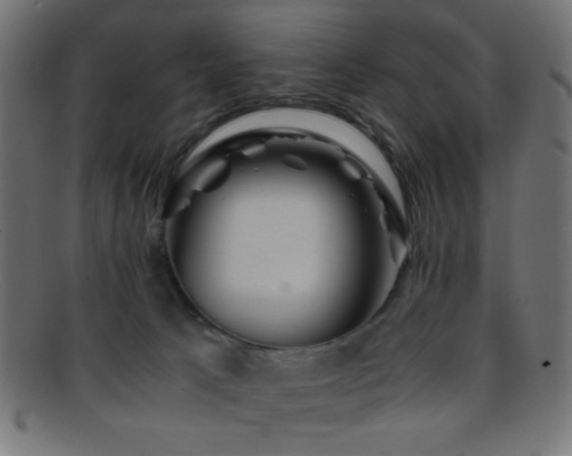X0000095690033200801081258