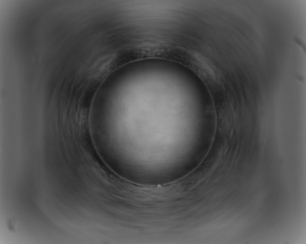 X0000095690034200801081258