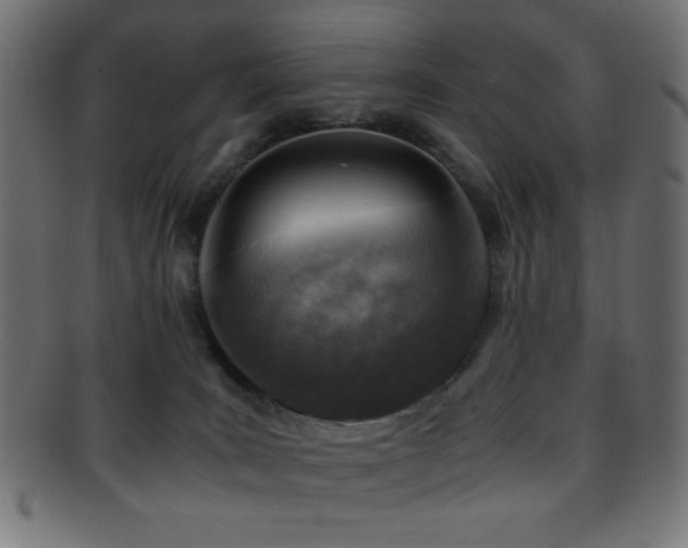 X0000095690035200801081258