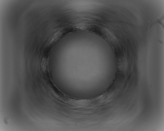 X0000095690036200801081258