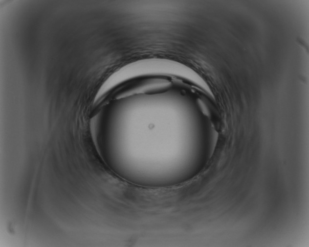 X0000095690037200801081258