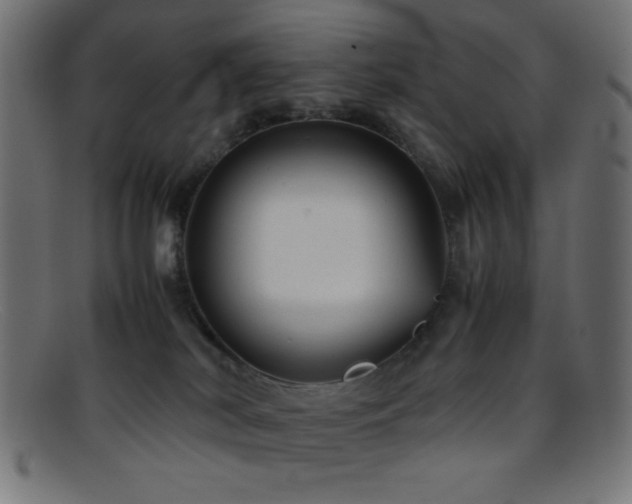 X0000095690038200801081258
