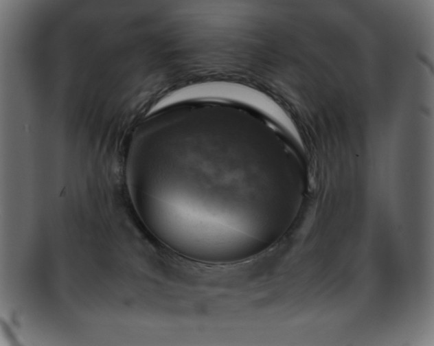 X0000095690039200801081258
