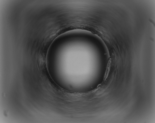 X0000095690040200801081258