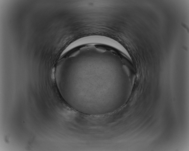 X0000095690041200801081258