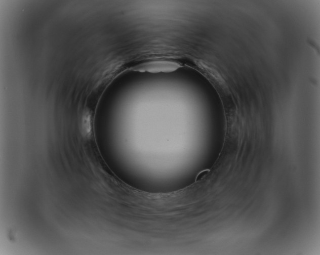 X0000095690042200801081258