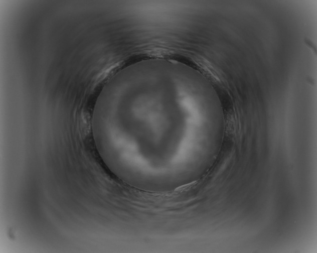 X0000095690043200801081258