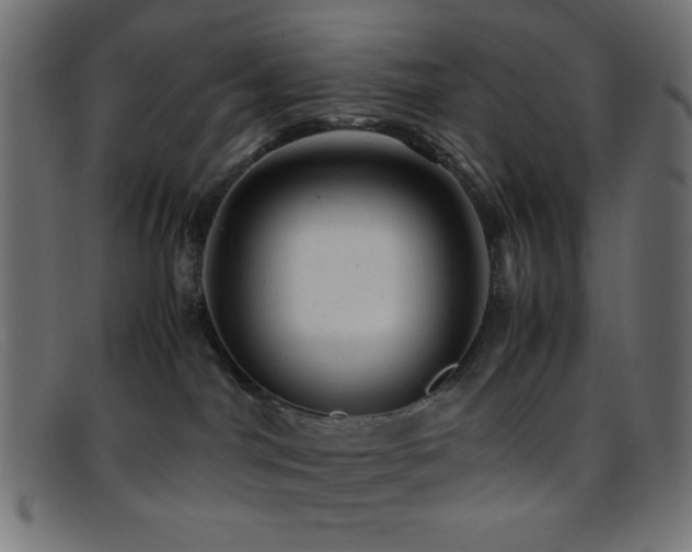 X0000095690044200801081258
